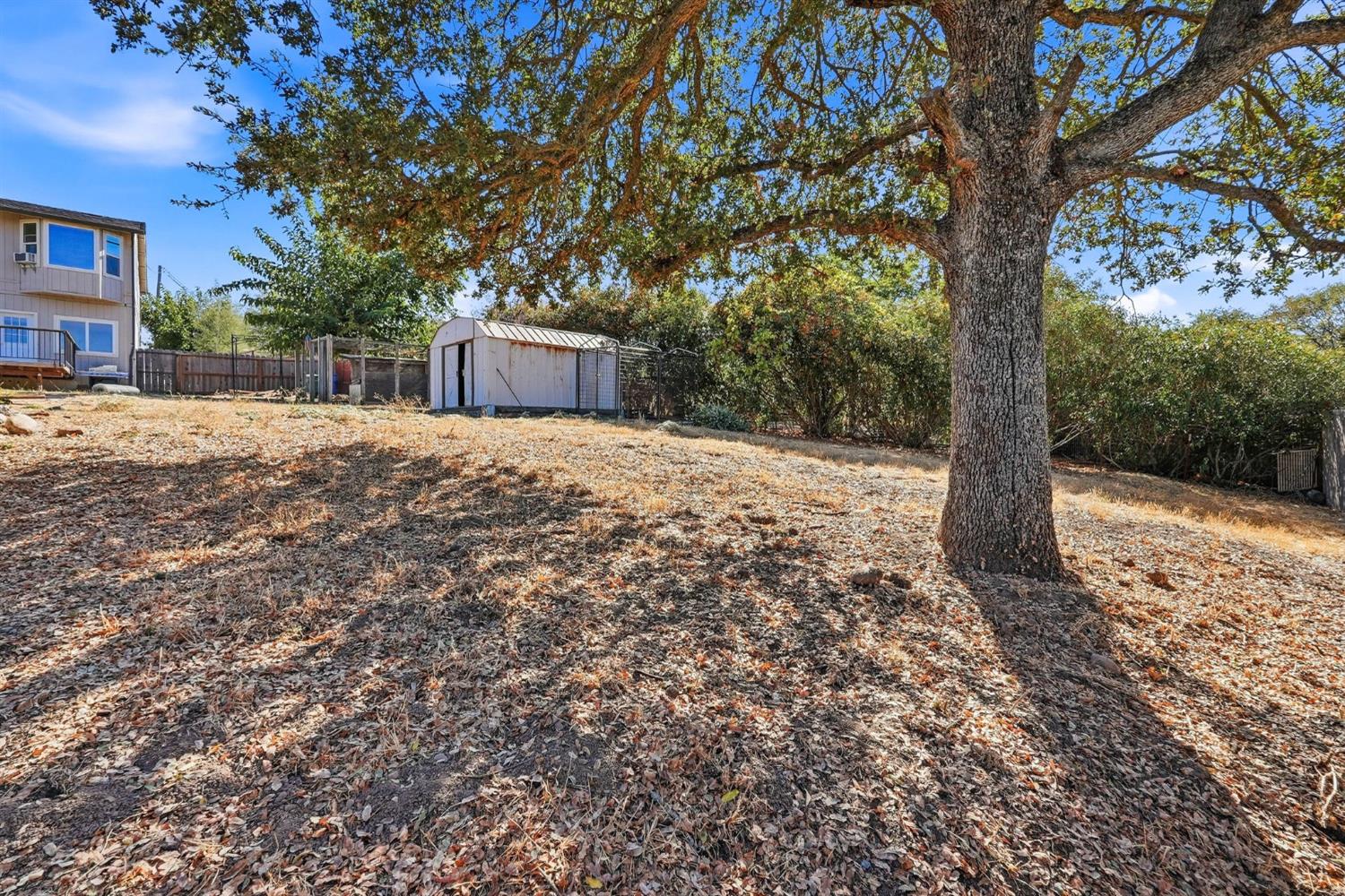 3371 Lazer Court