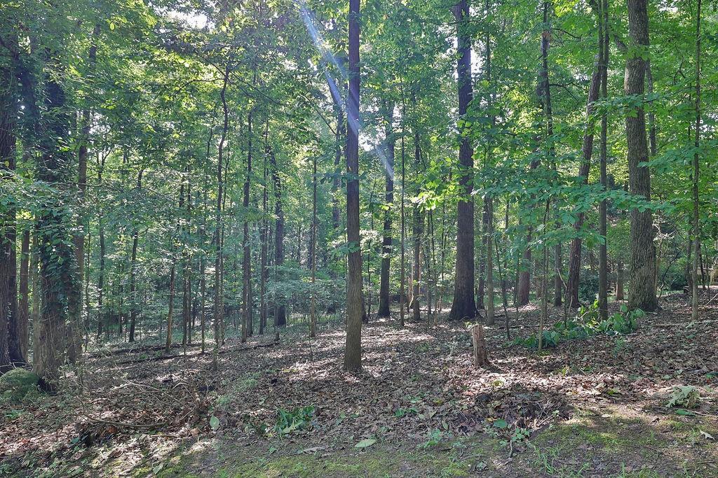 205 Hunters Mill Lane