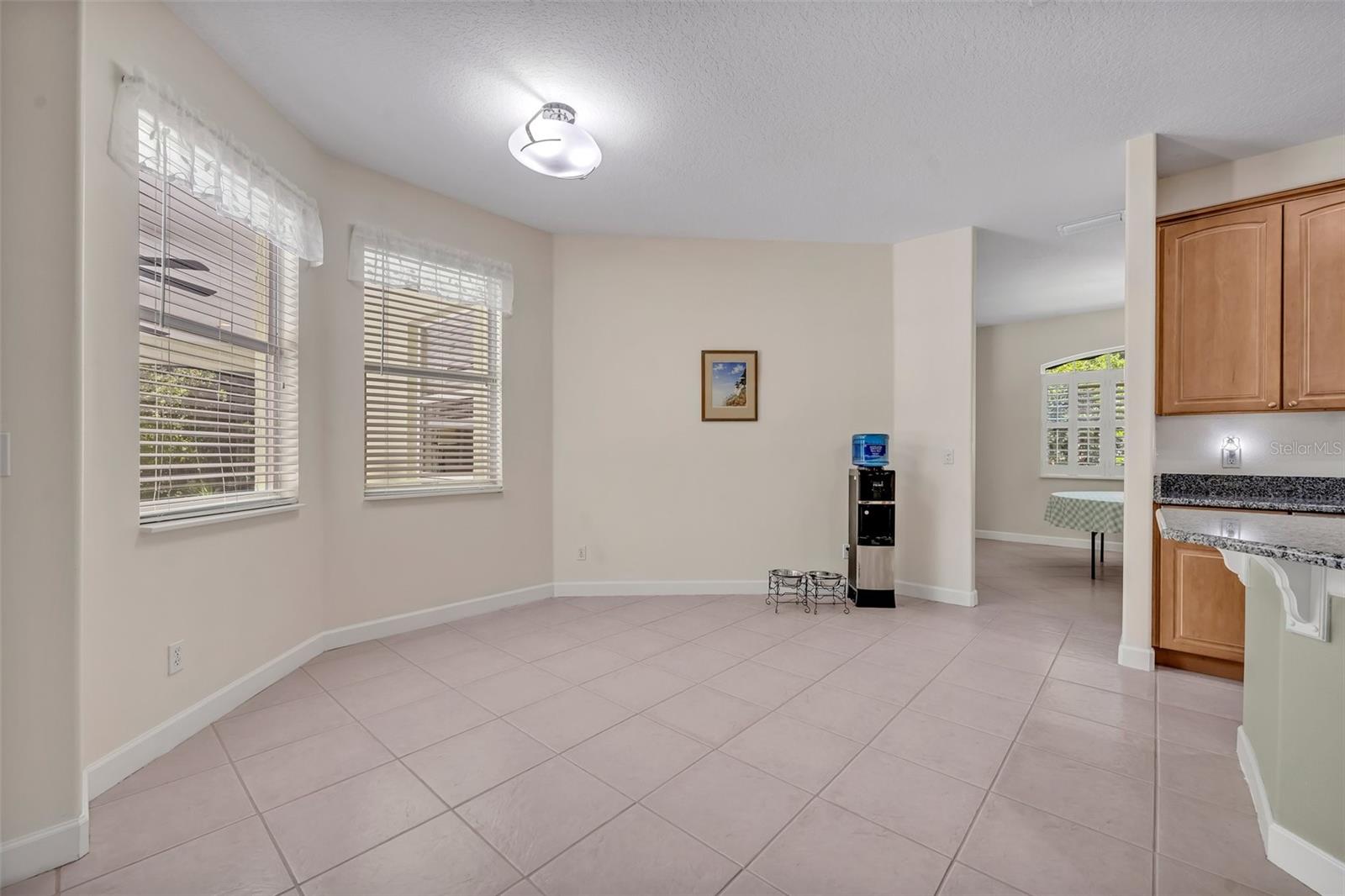 14128 BRAMBLE BUSH CT