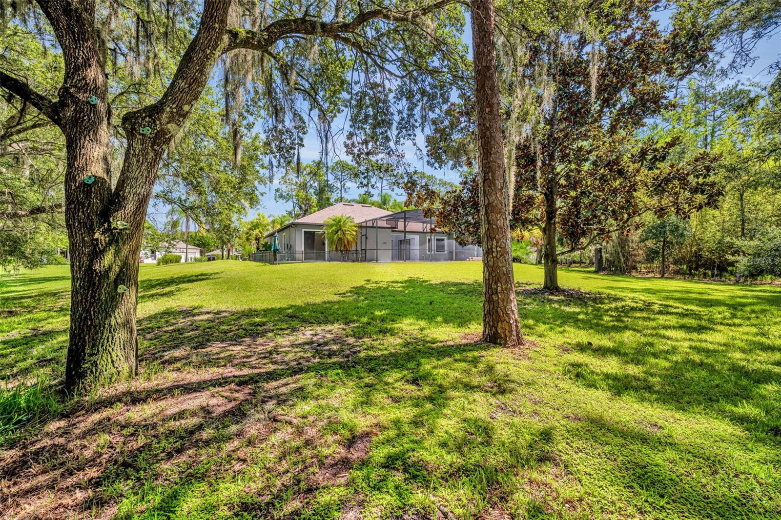 13916 BRAMBLE BUSH CT