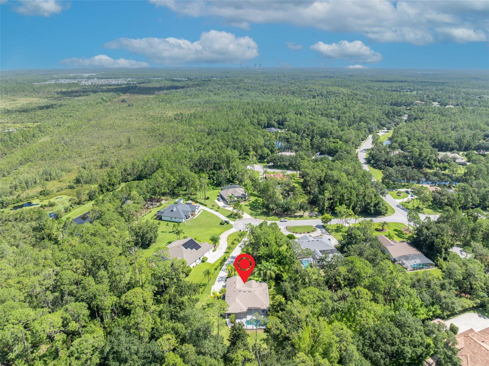 13916 BRAMBLE BUSH CT