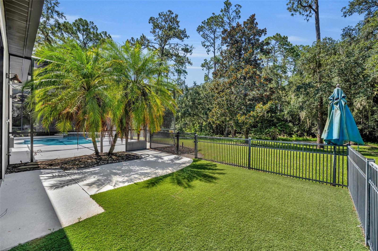 13916 BRAMBLE BUSH CT