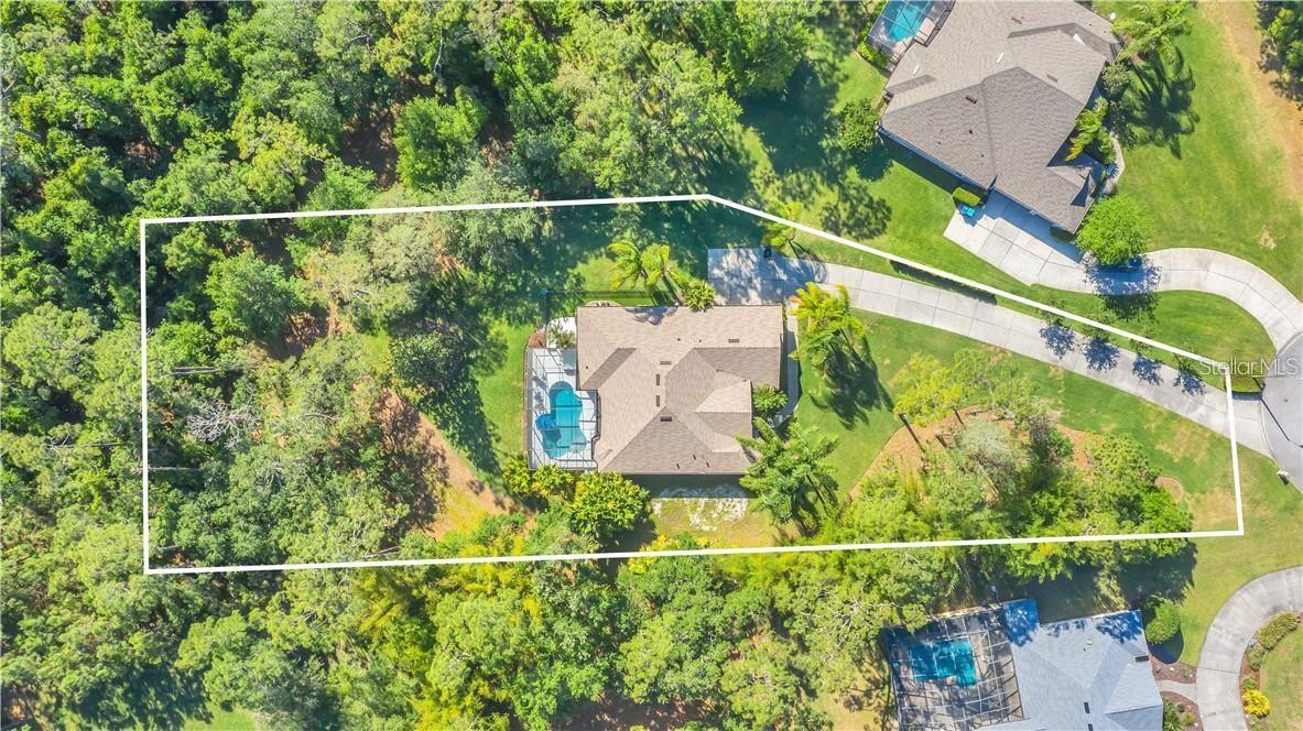 13916 BRAMBLE BUSH CT