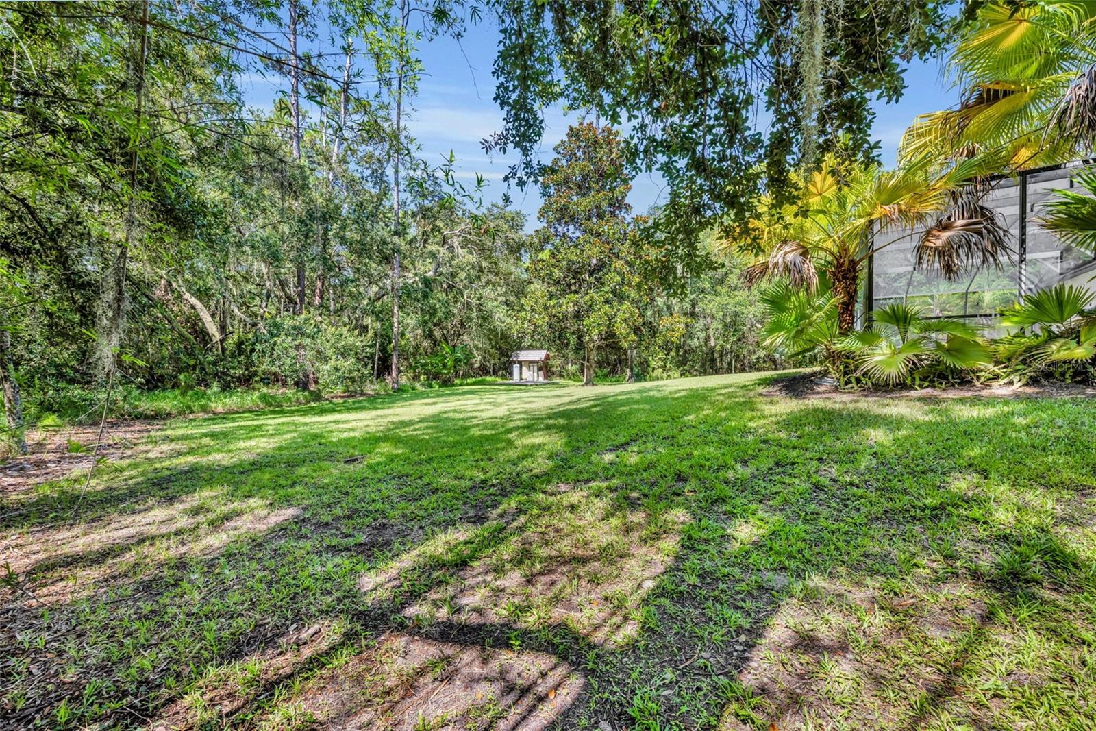 13916 BRAMBLE BUSH CT