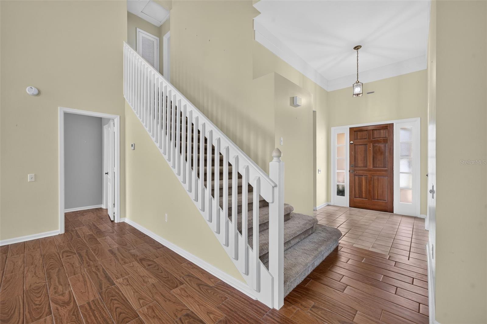 Entry foyer with a carpeted staircase, white railing, and wooden front door with glass sidelights.