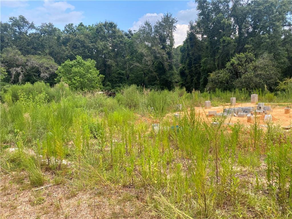 10720 Charlie Hodges Road