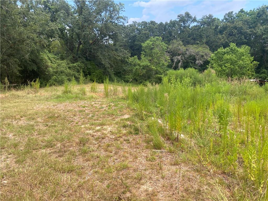 10720 Charlie Hodges Road