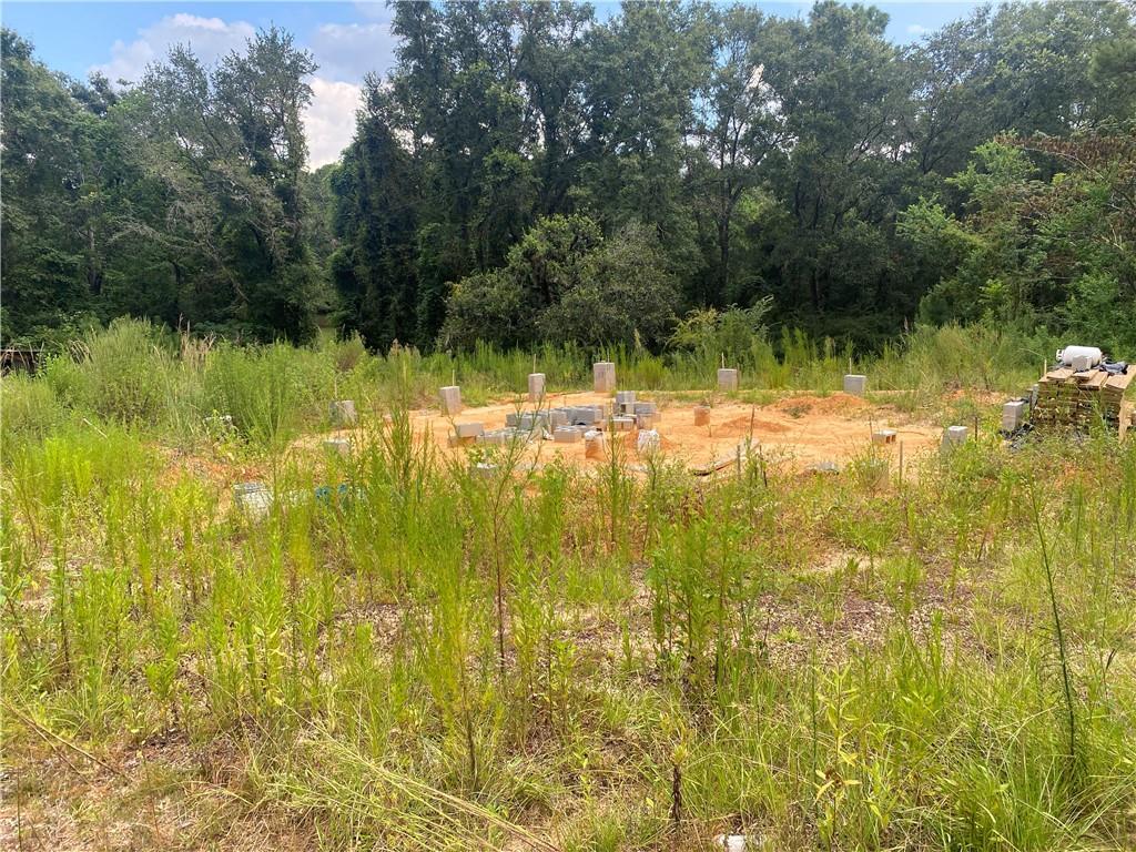 10720 Charlie Hodges Road