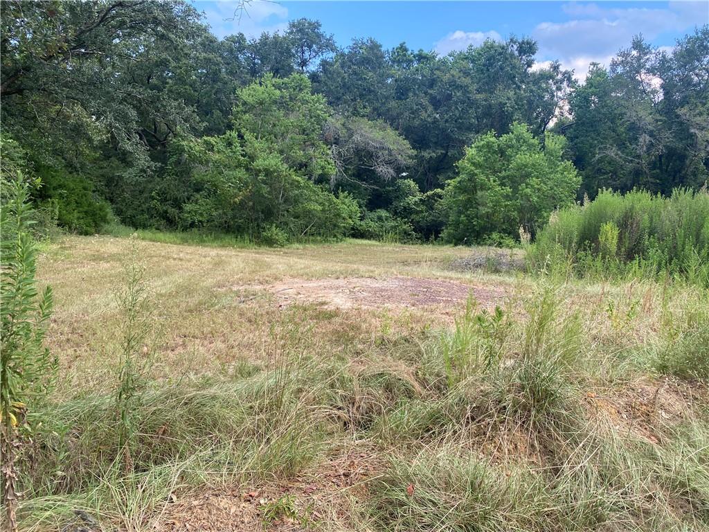 10720 Charlie Hodges Road
