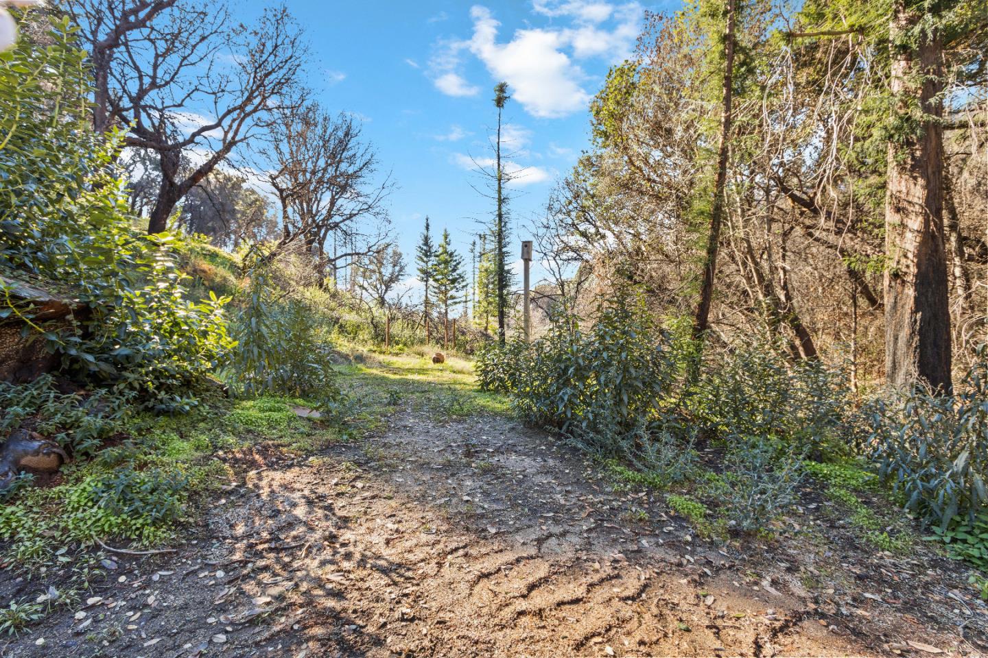 345 San Vicente Terrace