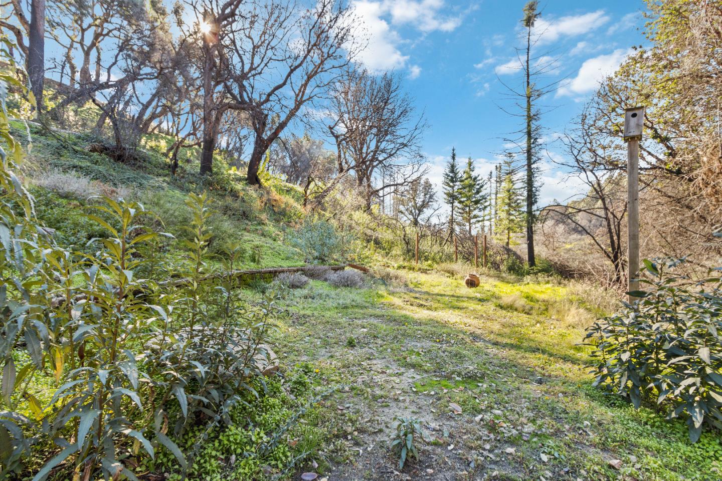 345 San Vicente Terrace