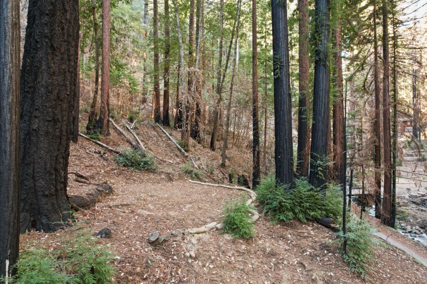 11837 Clear Creek Road