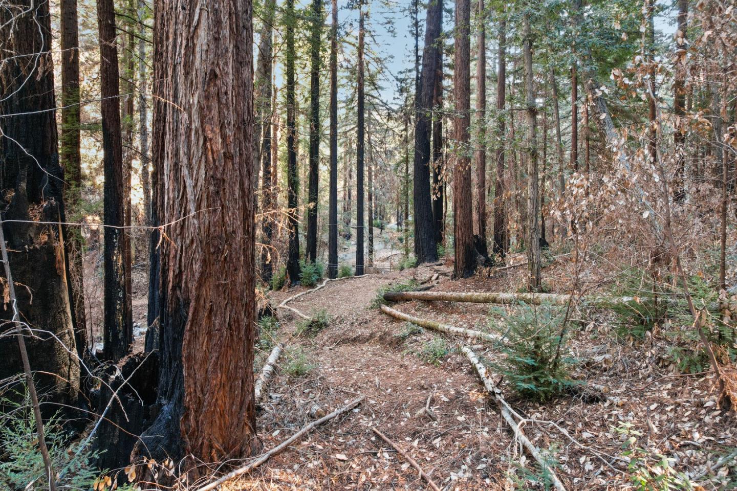 11837 Clear Creek Road