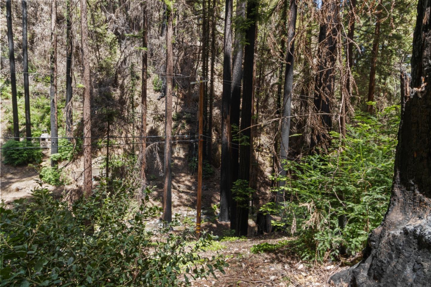 11837 Clear Creek Road