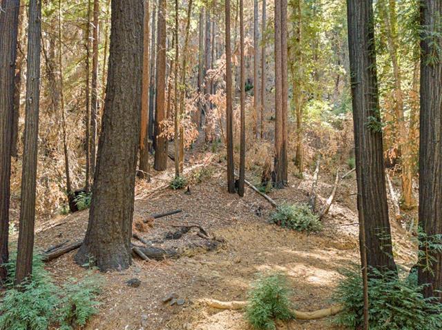 11837 Clear Creek Road