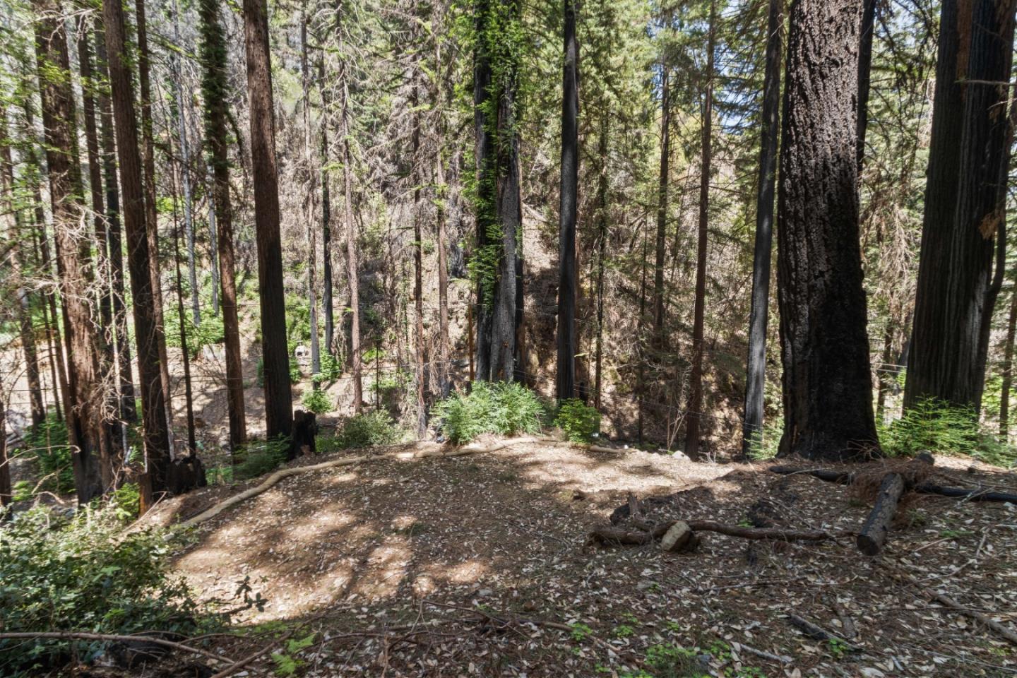 11837 Clear Creek Road