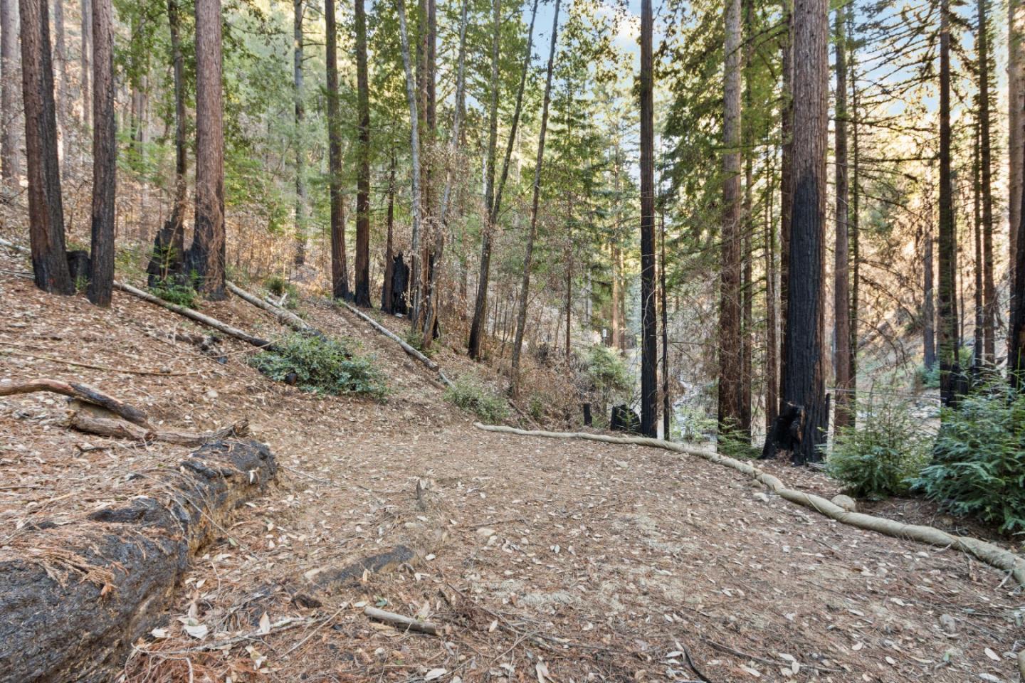 11837 Clear Creek Road