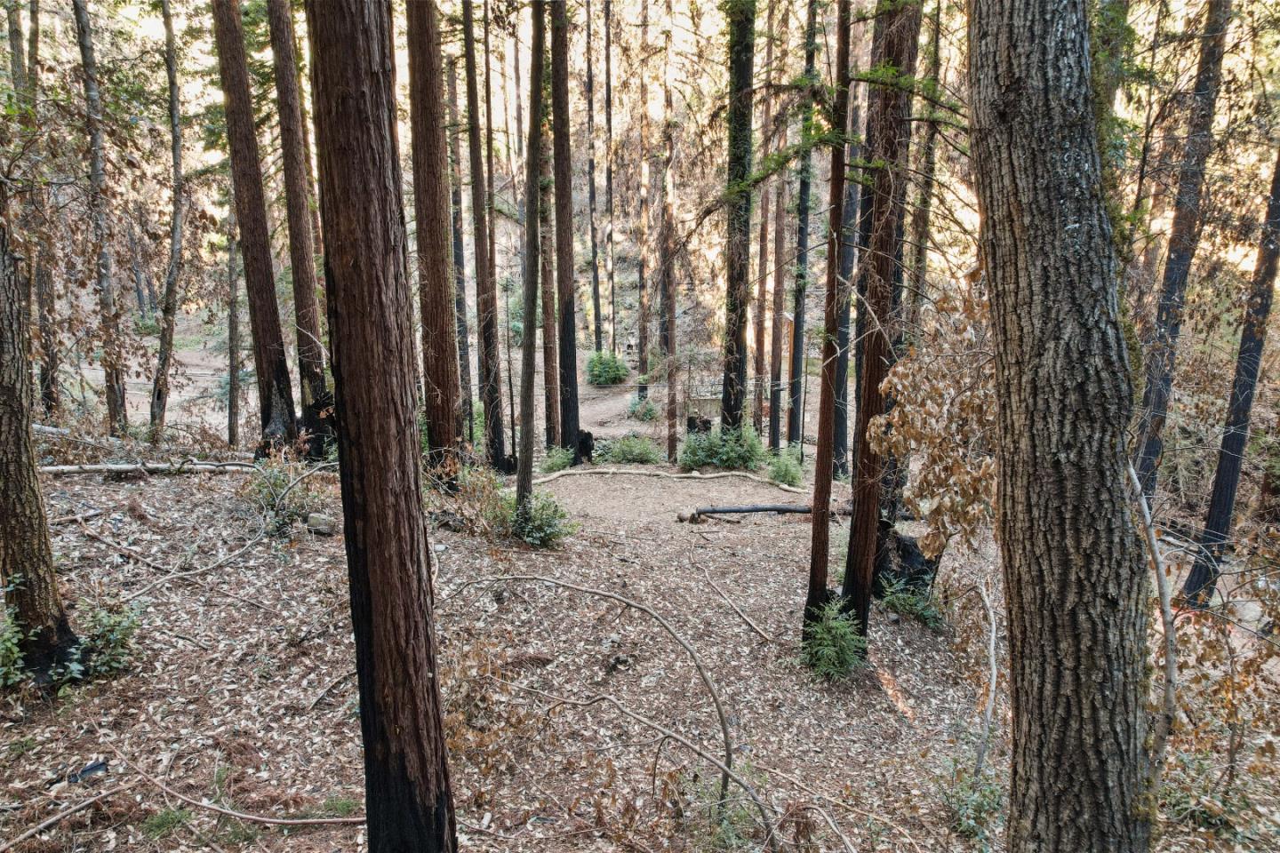 11837 Clear Creek Road