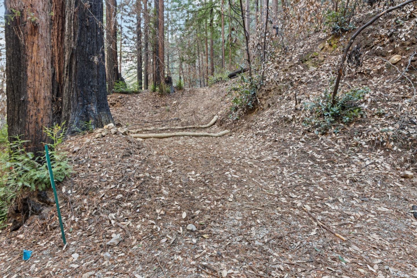 11837 Clear Creek Road