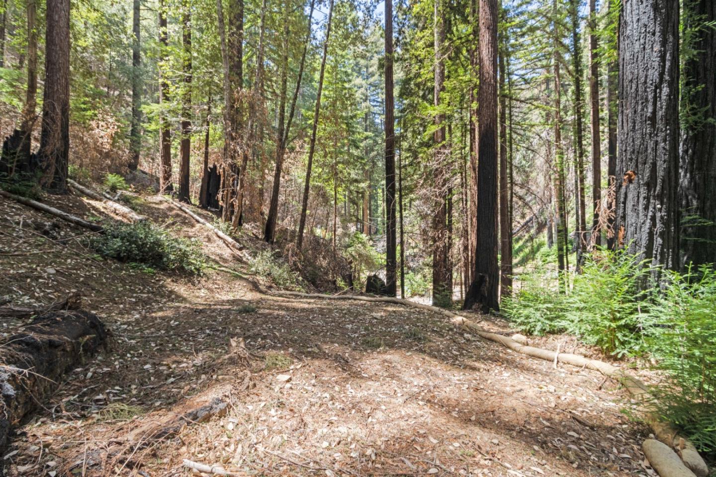 11837 Clear Creek Road