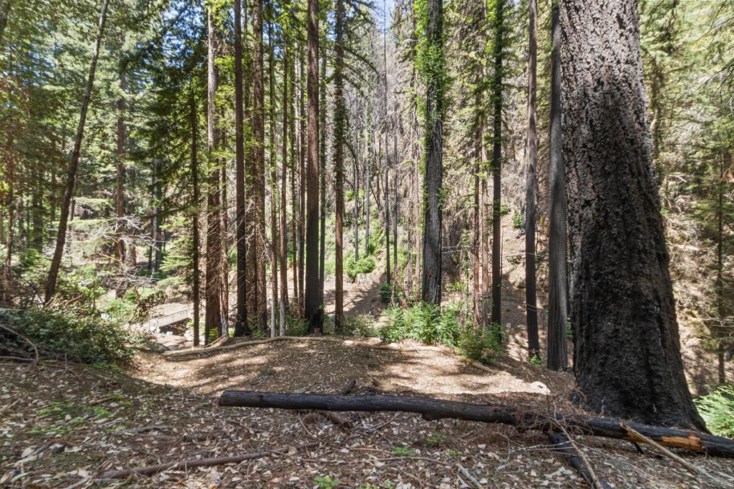 11837 Clear Creek Road