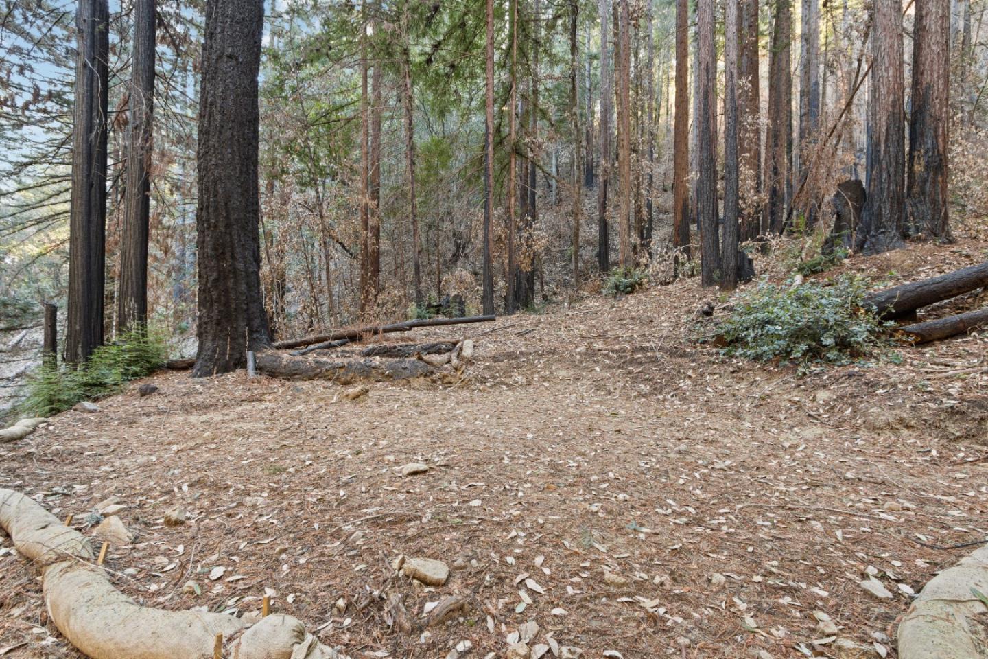 11837 Clear Creek Road