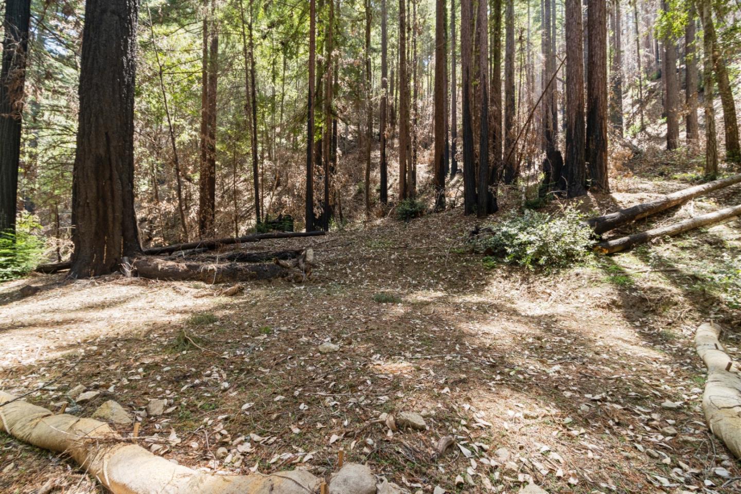 11837 Clear Creek Road