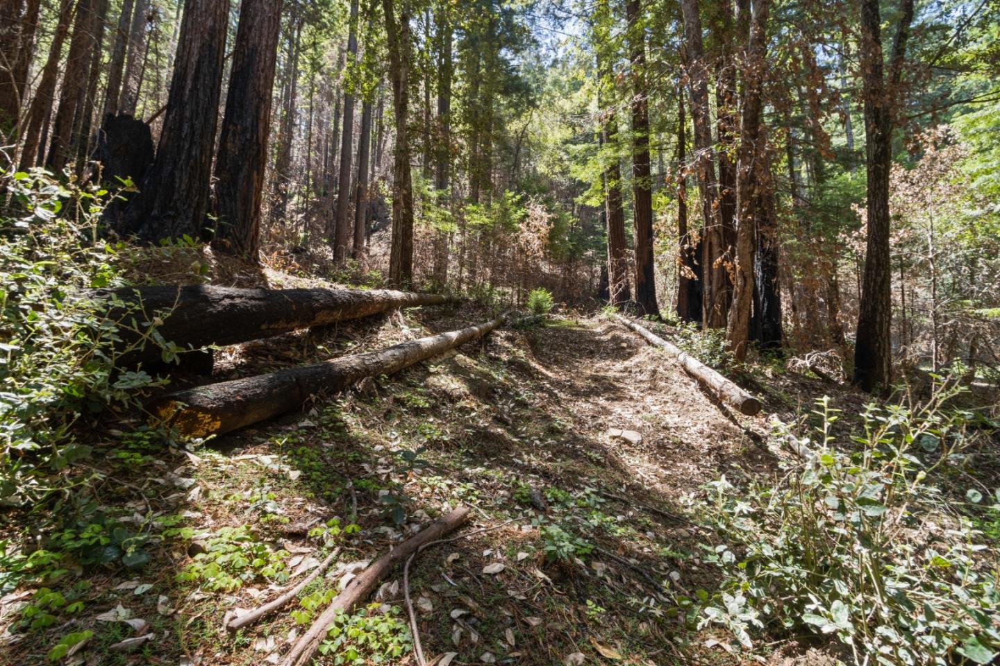 11837 Clear Creek Road