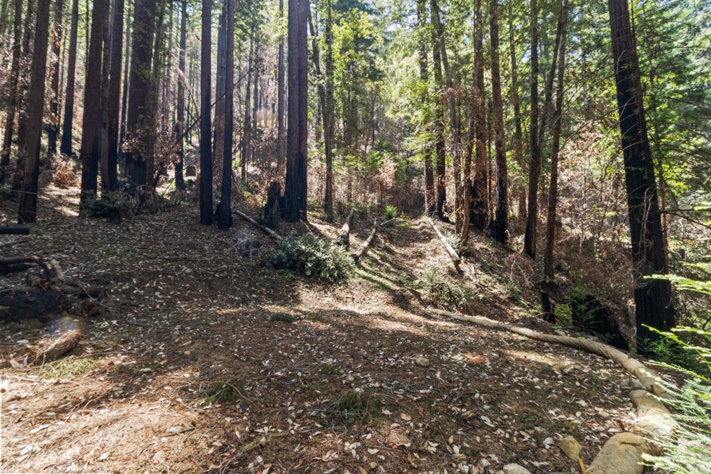 11837 Clear Creek Road