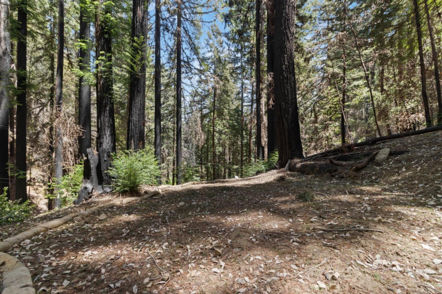 11837 Clear Creek Road