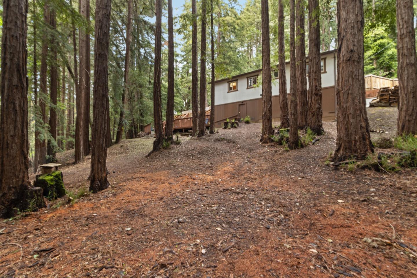 25 Zappa CT