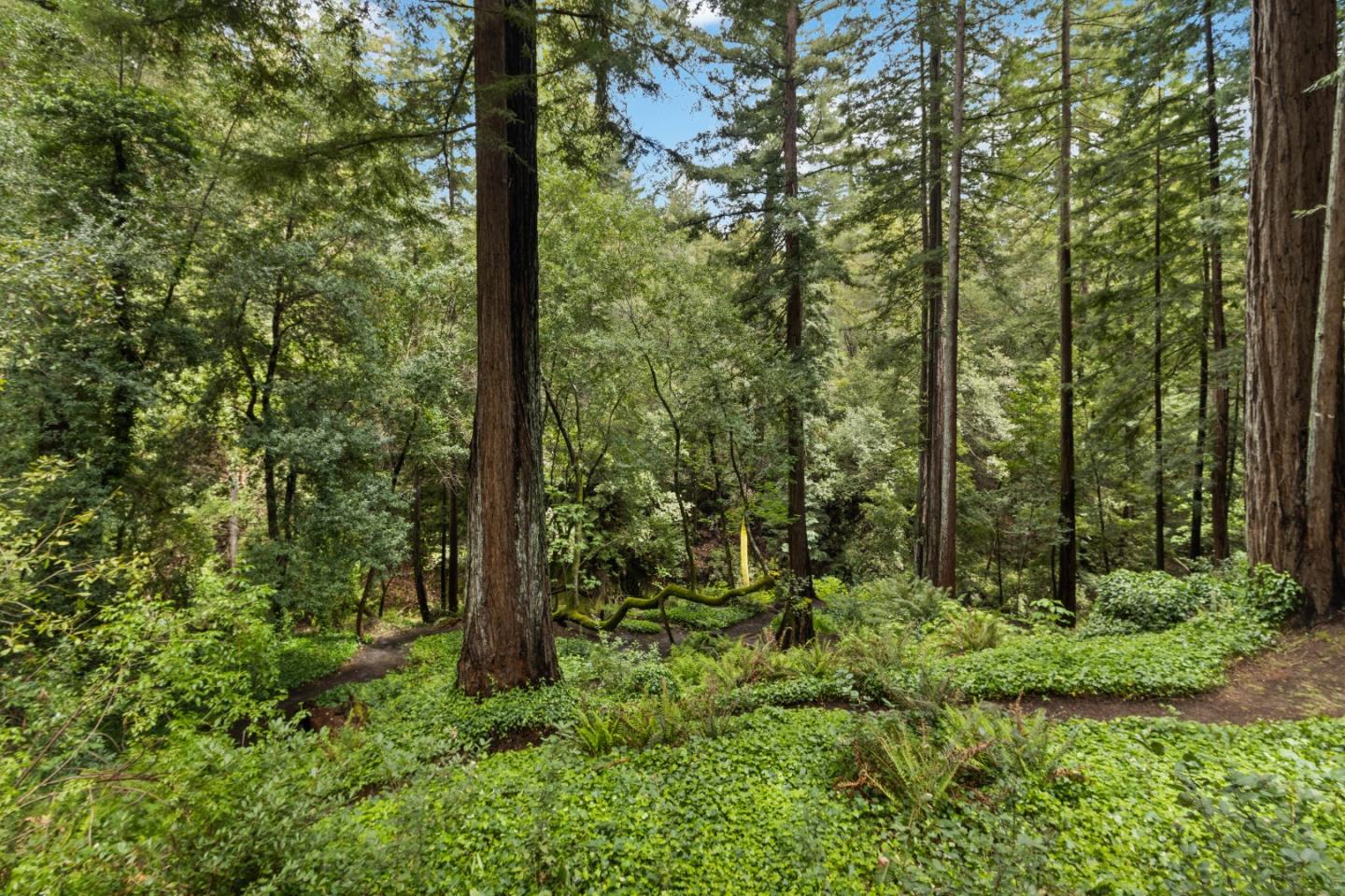 15194 Big Basin Way