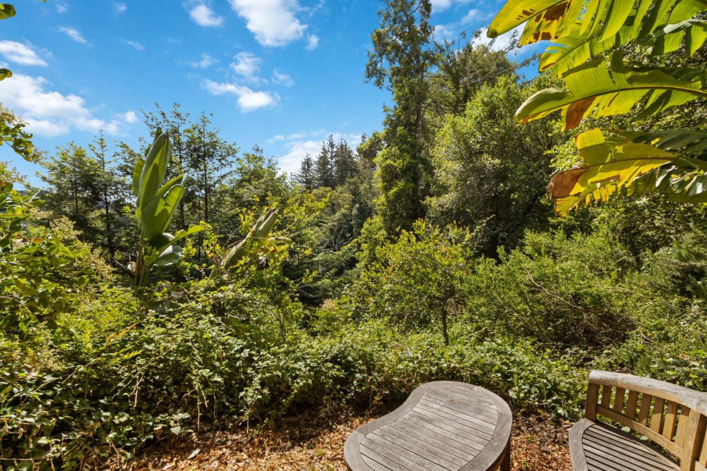 2650 Fern Flat Road