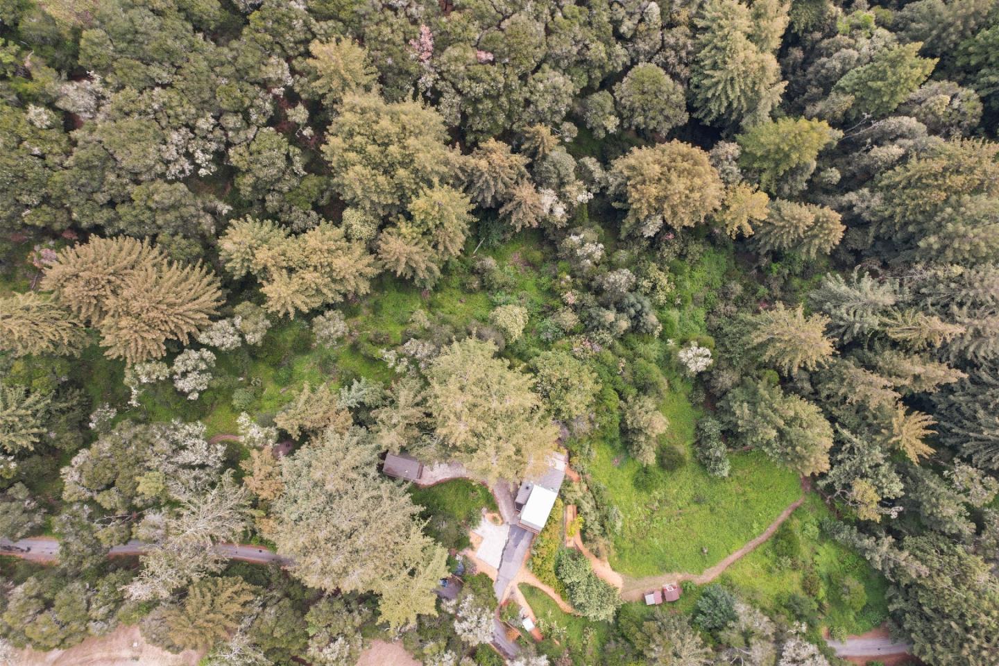 2650 Fern Flat Road