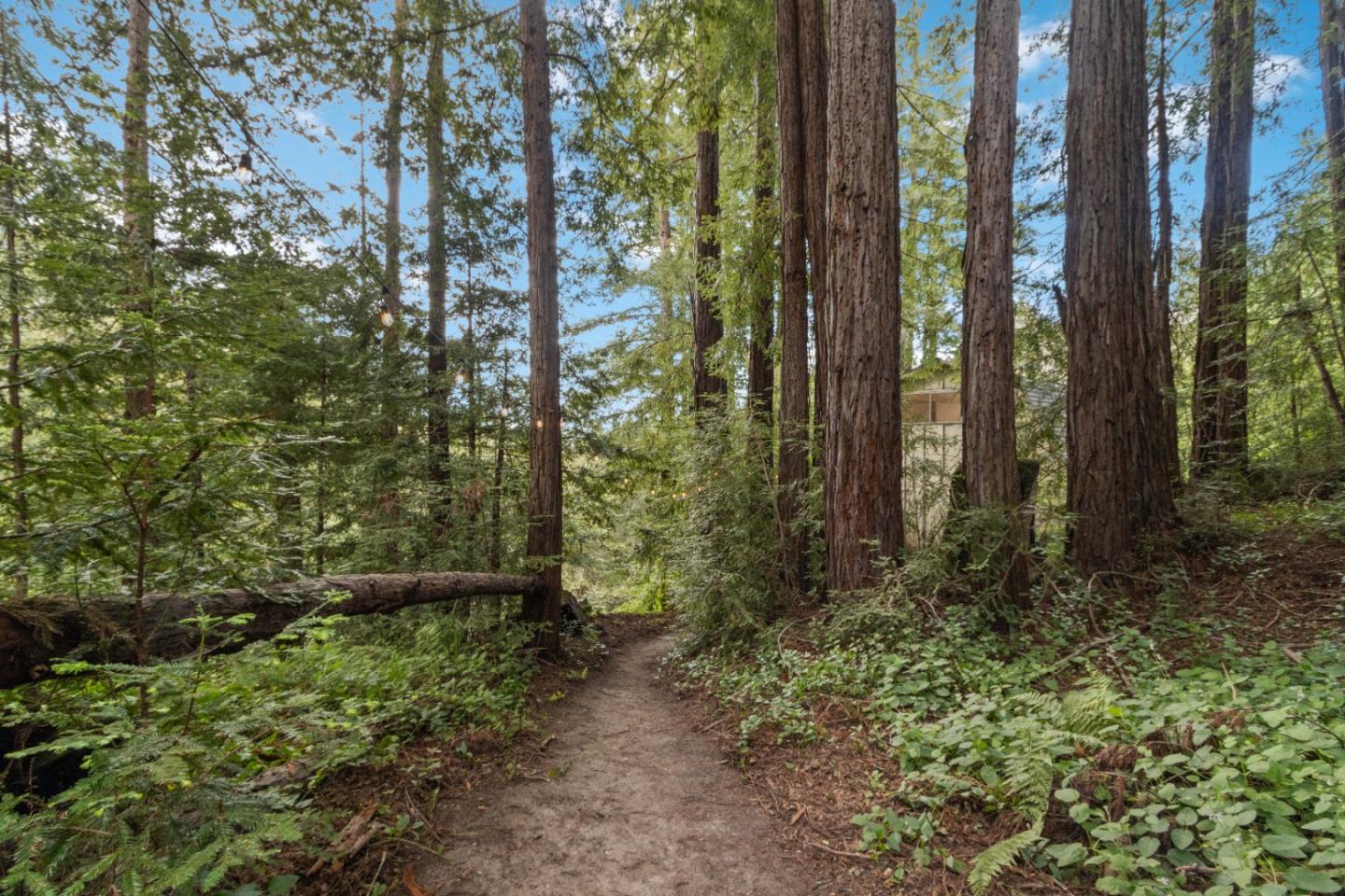 2650 Fern Flat Road