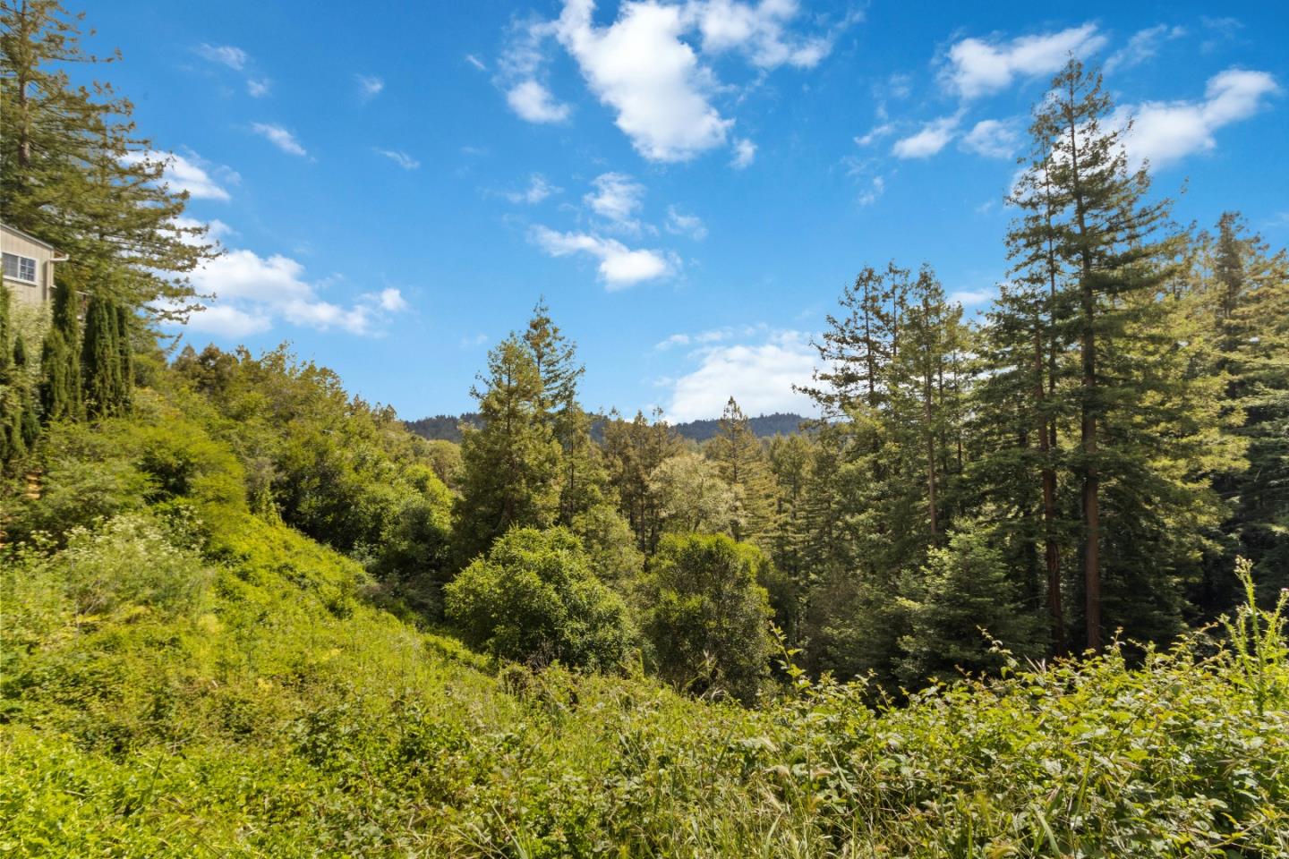 2650 Fern Flat Road