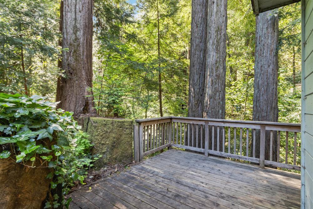 131 Evergreen Road