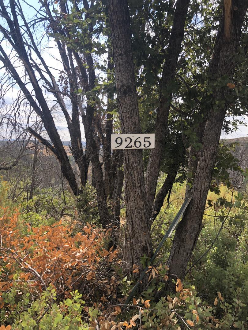 9265 Green Ranch Road