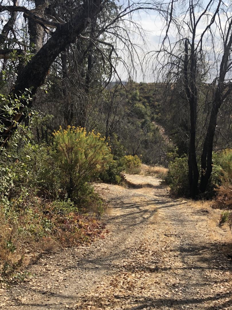 9265 Green Ranch Road