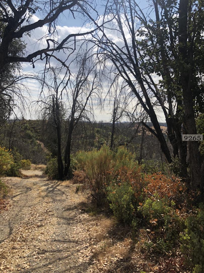 9265 Green Ranch Road