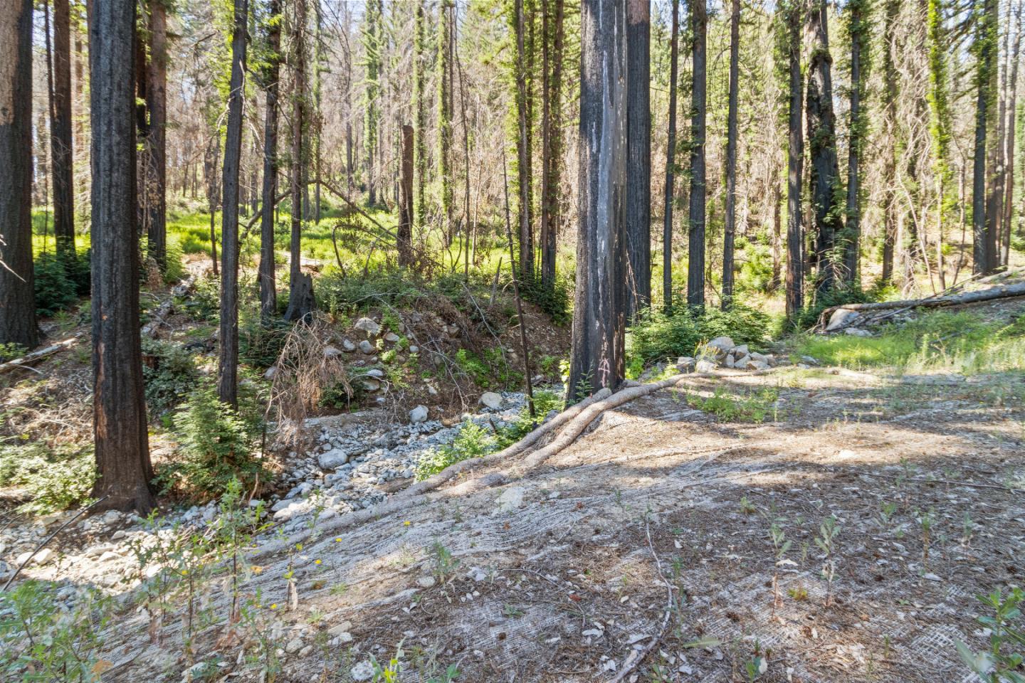 395 Boulder Brook Drive