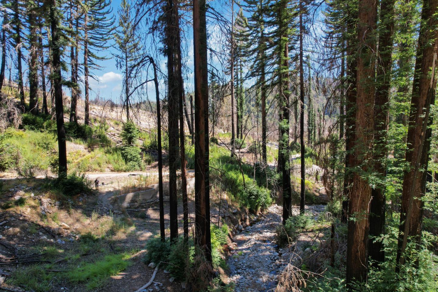 395 Boulder Brook Drive