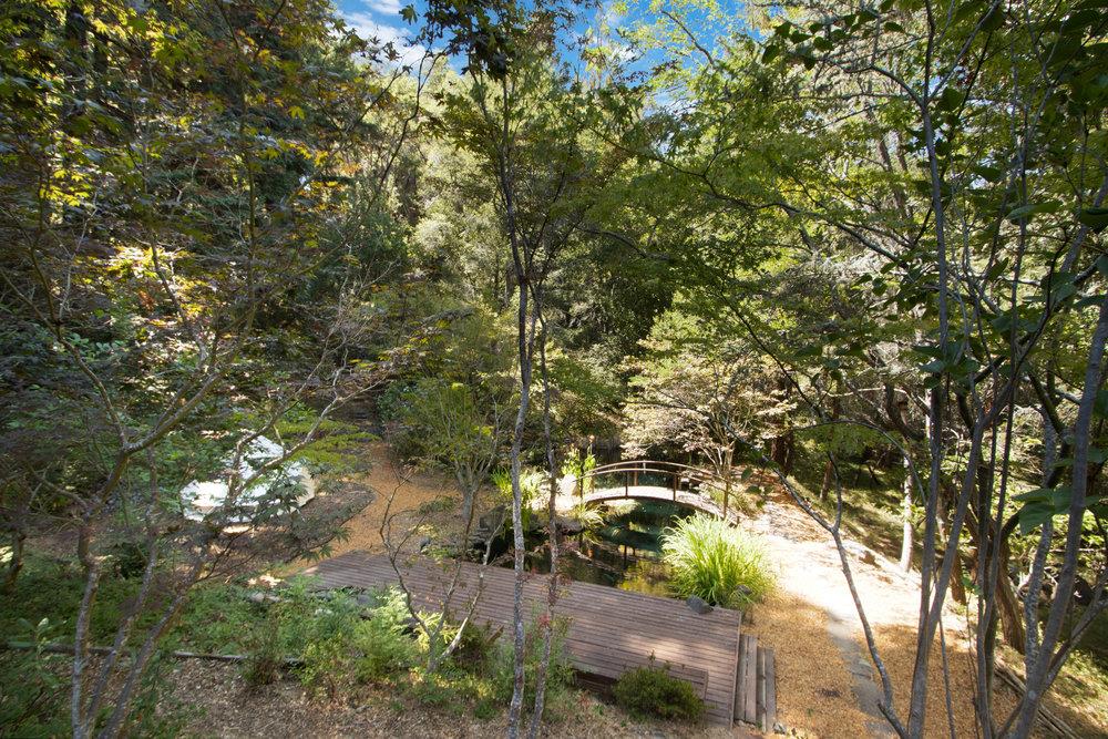 558 Richardson RD