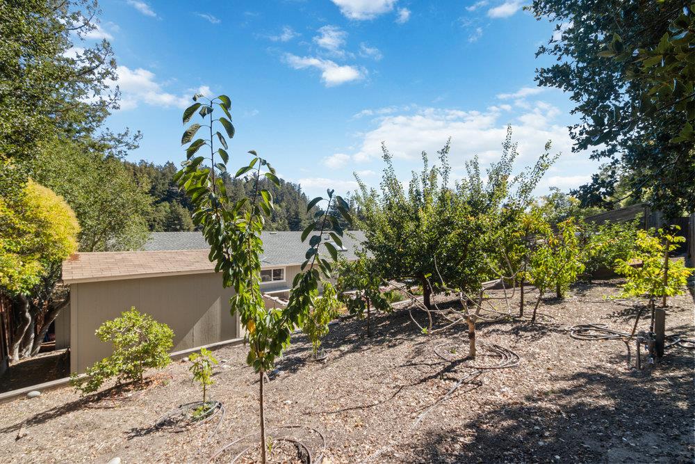 225 Esmeralda DR