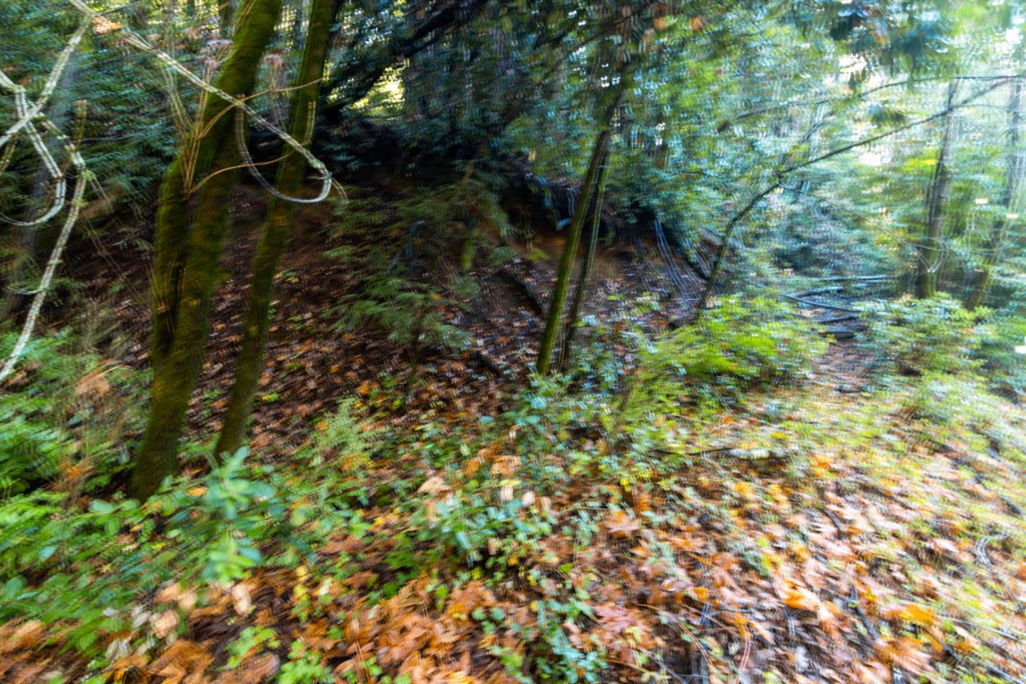 Lot 321-06 Glenwood DR
