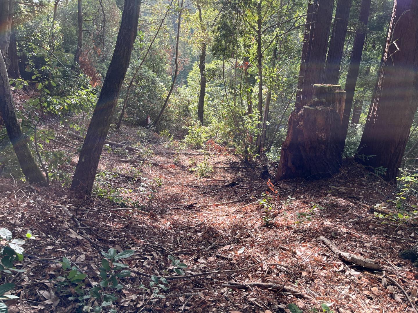Lot 321-06 Glenwood DR