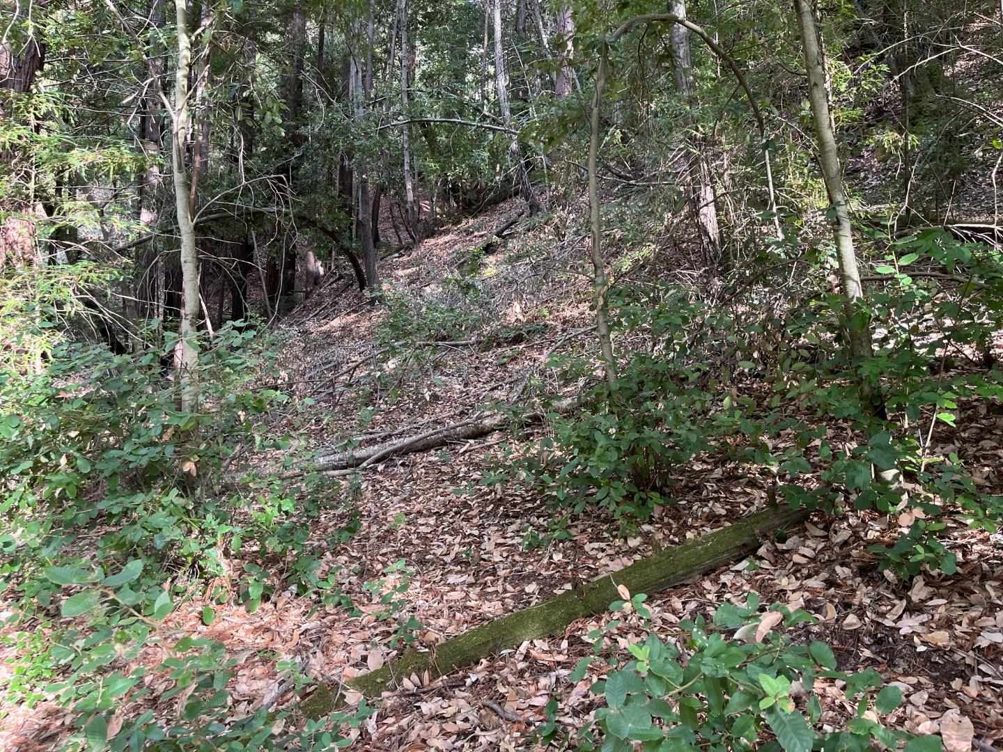 Lot 321-06 Glenwood DR