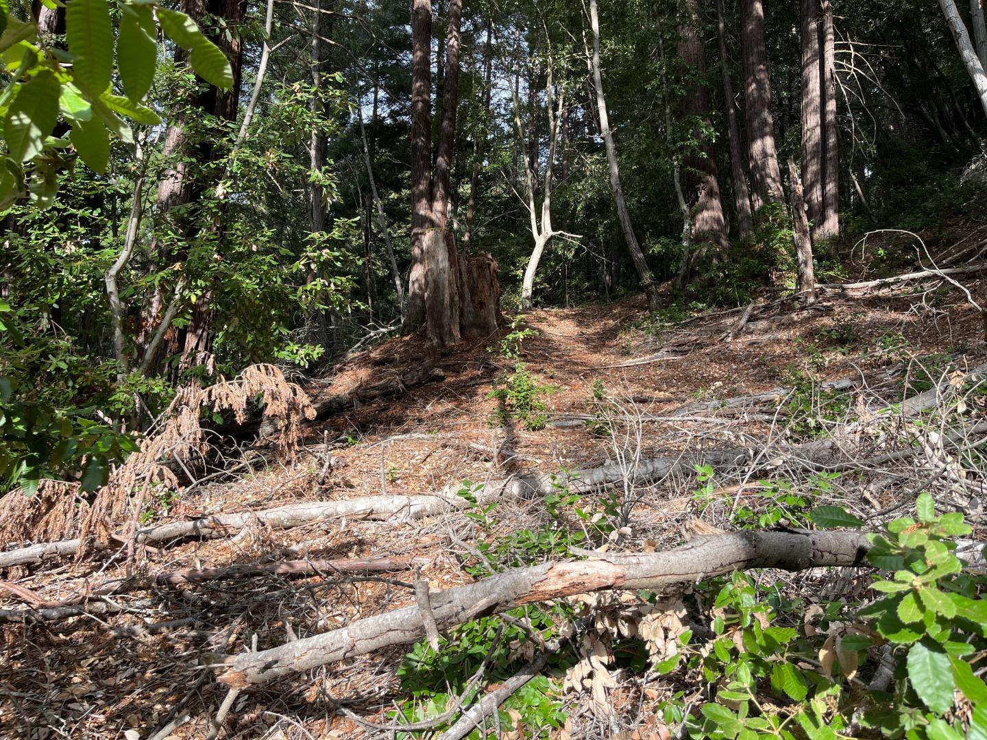 Lot 321-06 Glenwood DR