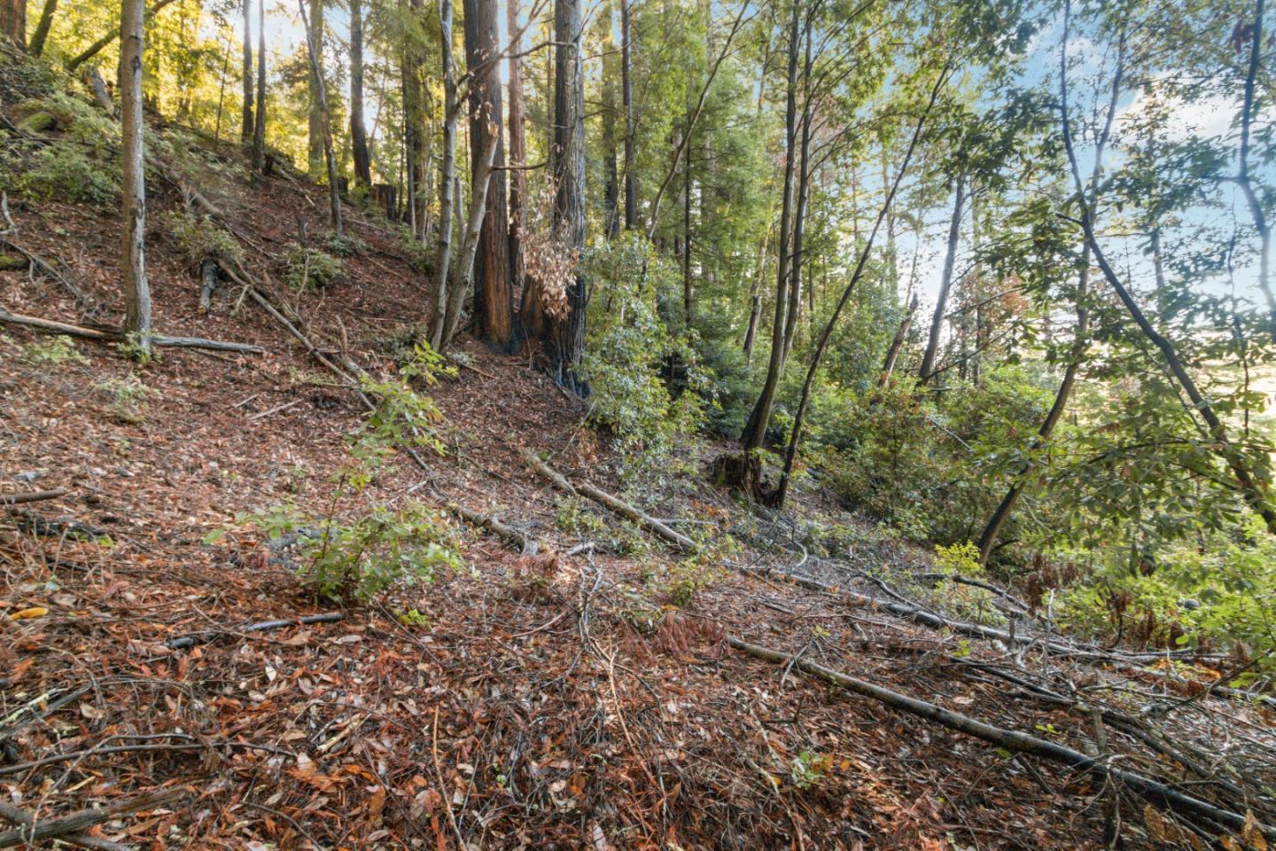 Lot 321-06 Glenwood DR