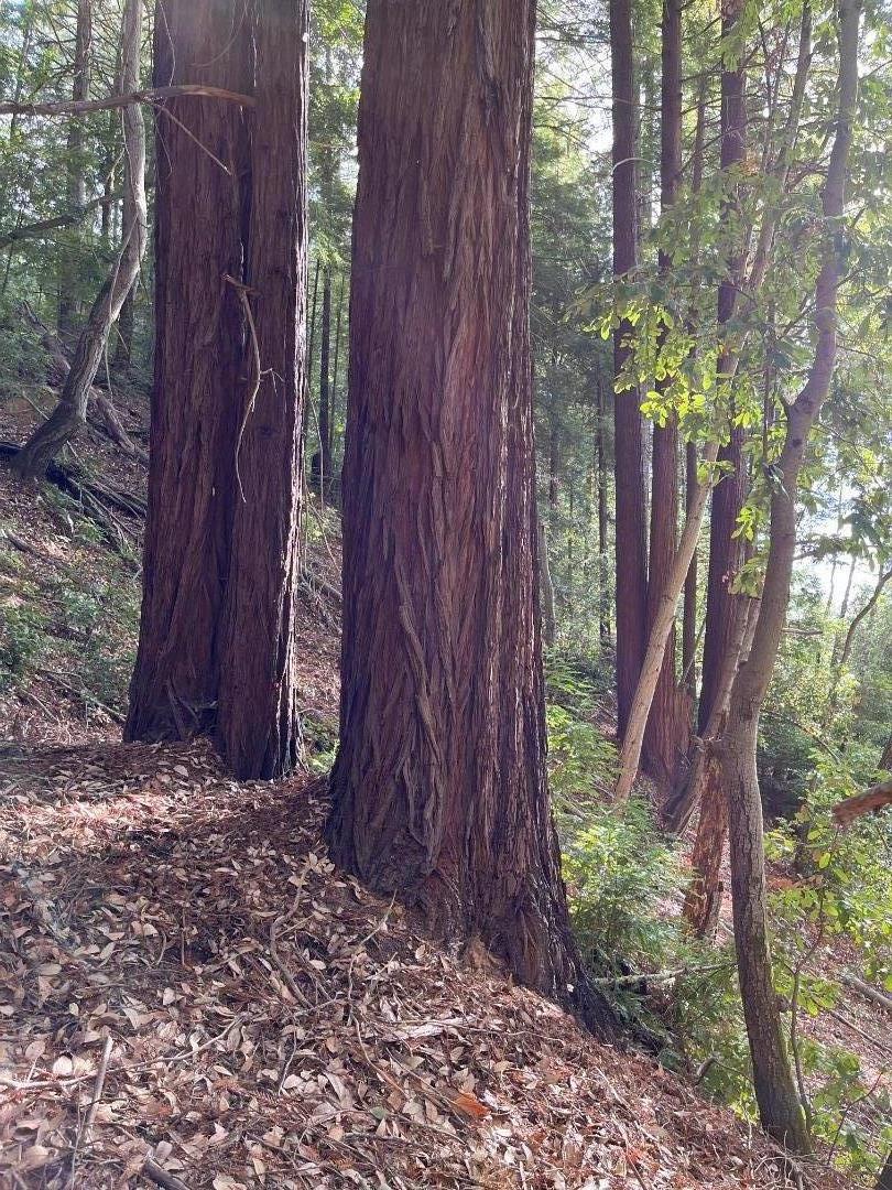 Lot 321-06 Glenwood DR